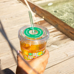 Verre pour thé glacé, réutilisable avec paille intégré, 450 ml, rose et vert