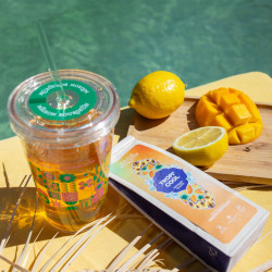 Verre pour thé glacé, réutilisable avec paille intégré, 450 ml, rose et vert