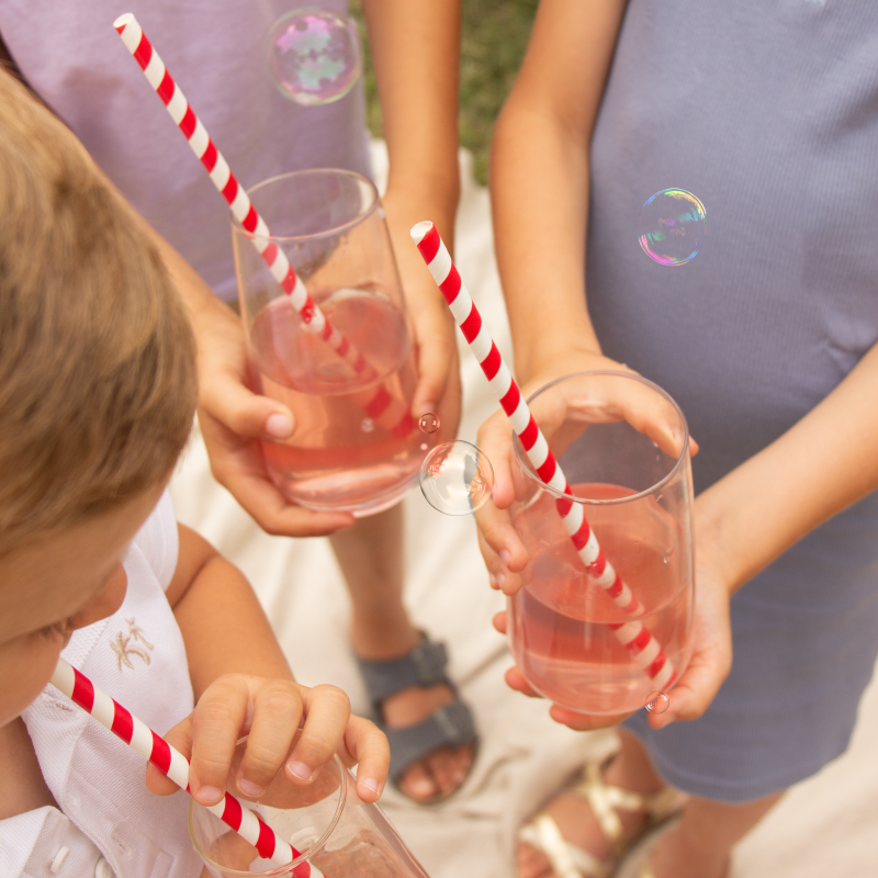 Rooibos enfant bio goût fraise, framboise et vanille - Maison Bourgeon Rooibos enfant bio goût fraise, framboise et vanille - Maison Bourgeon