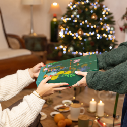 Calendrier de l'Avent thé et infusion Maison Bourgeon