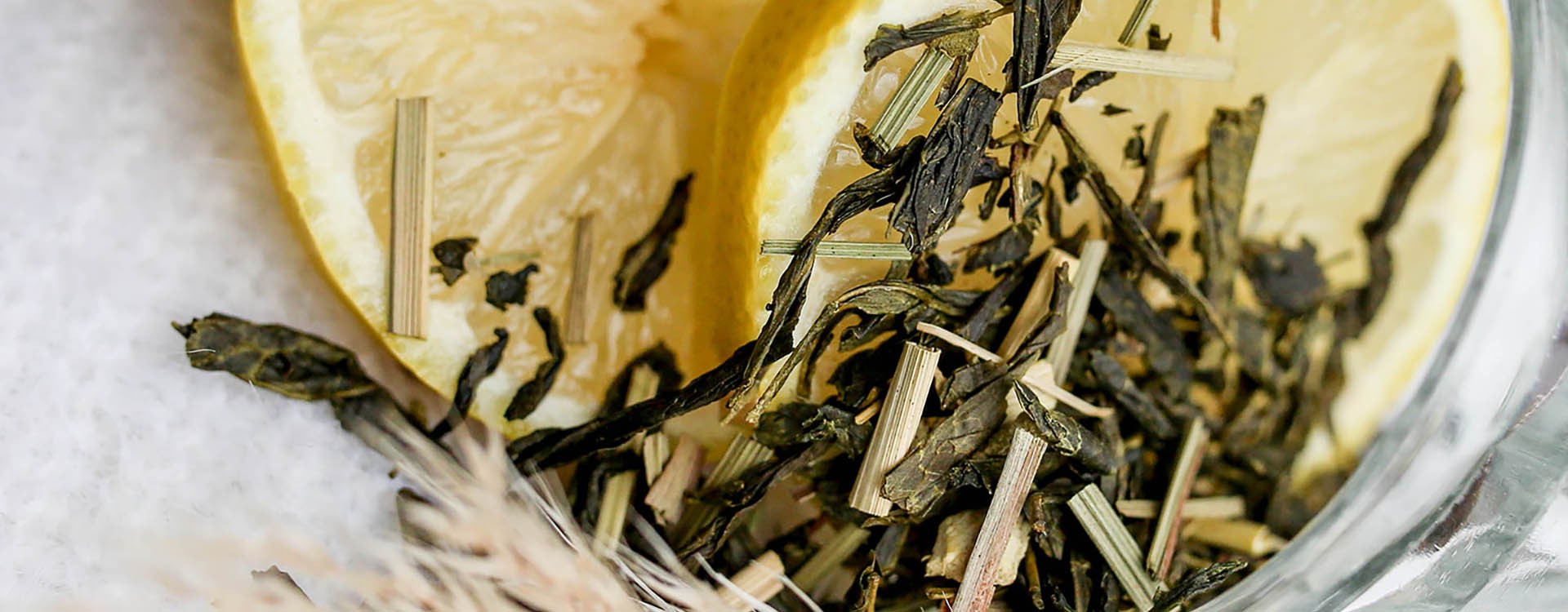 Thé vert au gingembre VS thé vert à la menthe, un combat au sommet pour une rentrée vitaminée !