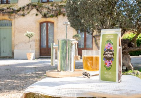 Oolong et métabolisme : une boisson idéale pour rester en forme